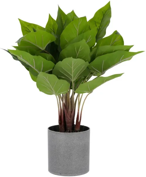 Anthurium, Tekokasvi, vihreä/harmaa, K50x40x40 cm