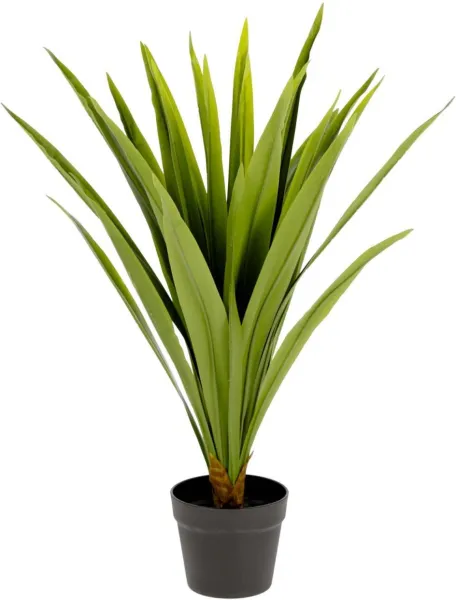 Yucca, Tekokasvi, vihreä/musta, H80x60x60 cm