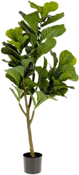 Ficus, Tekokasvi, vihreä/musta, H150x60x60 cm
