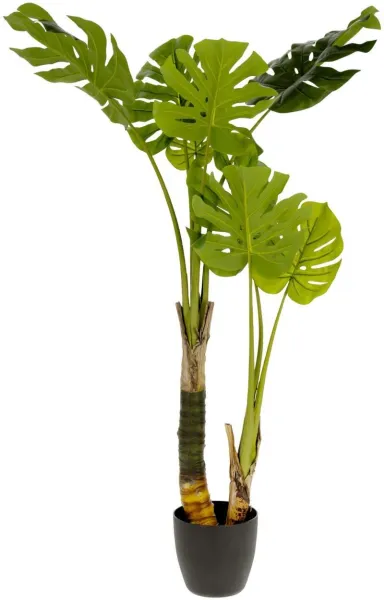 Monstera, Tekokasvi, vihreä/musta, H130x60x60 cm